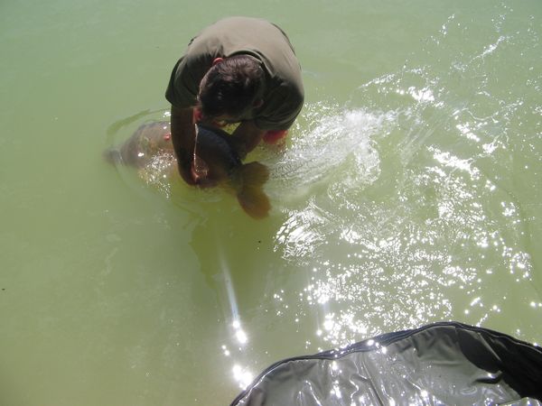 mise a leau 14,5.jpg